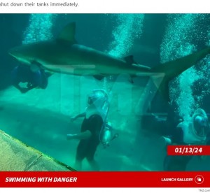 【海外発！Breaking News】水槽内でサメに噛まれた10歳男児、必死に逃げる映像に衝撃（バハマ）＜動画あり＞