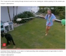 【海外発！Breaking News】勇敢な12歳少女　ペットのモルモットを救うため、ヘビを掴んで振り回す（豪）＜動画あり＞