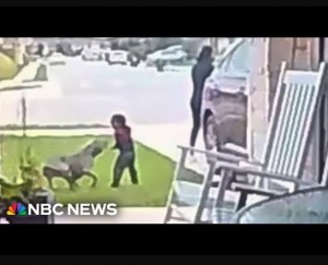 米テキサス州オースティンの静かな住宅街で、2歳男児がピットブルに襲われた。当時の様子はドアベルカメラが捉えており、母親が息子を懸命に守ろうとする姿が映し出されていた（『NBC News　YouTube「Video captures mother saving toddler attacked by dog」』より）