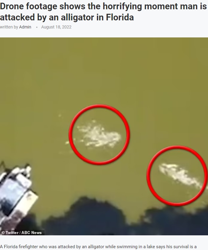 米フロリダ州の湖で2022年8月、遊泳中の男性を襲うワニ。男性はワニに頭を噛まれるも、その口をこじ開けて生還していた（『UK Times　「Drone footage shows the horrifying moment man is attacked by an alligator in　Florida」（Twitter/ABC News）』より）