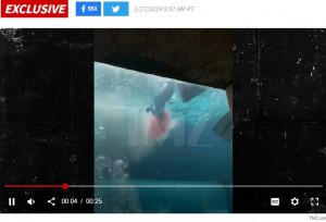 バハマの複合リゾート施設で今年1月、10歳男児がサメに襲われた。男児はサメが放たれた水槽内を散歩するアクティビティに参加中で、右脚を噛まれたという（『TMZ　「BAHAMAS SHARK ATTACK　BLOOD FROM BIT CHILD FILLS TANK...Gruesome Video Shows」（TMZ.com）』より）