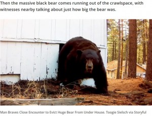 米カリフォルニア州で昨年12月、男性が軒下に侵入したアメリカグマを追い出す瞬間の様子が捉えられた。男性が使用したのはがん具銃で、8発を発射したという（『FOX 2 Detroit　「Man chases squatting black bear from crawlspace with a paintball gun」（Toogie Sielsch via Storyful）』より）