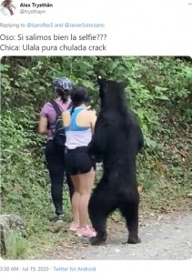 メキシコの自然公園で2020年、ハイキング中クマがすぐ背後に迫るも、あまりにも冷静な女性たちが話題となった（『Alex Trysthän　X「Oso: Si salimos bien la selfie???」』より）