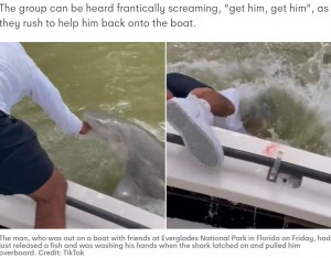 米フロリダ州で2023年6月、船釣りを楽しんでいた男性がオオメジロザメに襲われた。男性が手を洗おうと水中に右手を入れた瞬間、サメが噛みついてそのまま引きずり込まれていた（『7NEWS Australia　「Terrifying video shows man being bitten and pulled into water by shark at Everglades National Park」（Credit: TikTok）』より）
