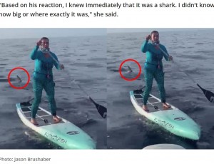 米フロリダ州在住の女性は2023年6月、スタンドアップパドルボードのレースに参加した。後ろにピタリとサメが付いたが、女性は冷静に対処していた（『FOX 35 Orlando　「Florida woman on paddleboard handles shark encounter like a champ in wild video」（Photo: Jason Brushaber）』より）