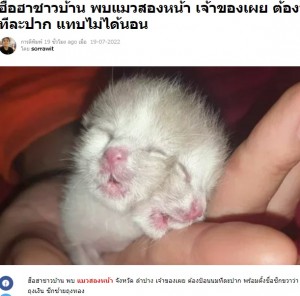 タイ北部ラムパーン県で2022年7月、2つの顔を持つネコが誕生。2つの口でミルクを飲むも生後4日目に亡くなった（『Thaiger　「ข่าวฮือฮาชาวบ้าน พบแมวสองหน้า เจ้าของเผย ต้องป้อนนมทีละปาก แทบไม่ได้นอน」』より）