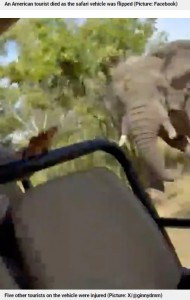 当時、時速40キロほどで走行していたというサファリカーはその後、突然停止。それを見た雄ゾウは車両に向かって突進してきた（『Metro.co.uk　「Terrifying moment elephant charges at tourists as safari truck driver suddenly stops」（Picture: X/＠ginnydmm）』より）