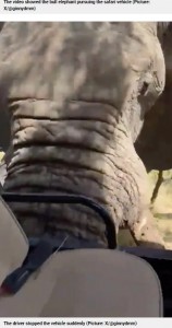 雄ゾウがすぐそばまで迫って来てもカメラは回り続けた。雄ゾウは凄まじい力で車両をひっくり返し、映像はぶれ、背後ではガイドが必死に叫び、観光客がもがく声が聞き取れた（『Metro.co.uk　「Terrifying moment elephant charges at tourists as safari truck driver suddenly stops」（Picture: X/＠ginnydmm）』より）