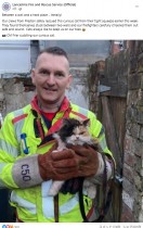 【海外発！Breaking News】窮地から救出された猫、不満げな表情に「まったく感謝していない」と大爆笑（英）
