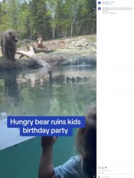 【海外発！Breaking News】動物園のクマ、子供の目の前でカモの親子を貪り食うも「命の輪」「素晴らしい人生のレッスン」の声（米）＜動画あり＞