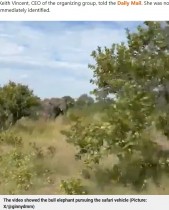 【海外発！Breaking News】雄ゾウに猛突されサファリカーが横転、80歳米女性死亡　回り続けたカメラに衝撃（ザンビア）＜動画あり＞