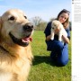 【海外発！Breaking News】323匹の父になった9歳のゴールデン・レトリバー、盲導犬繁殖から引退で「誇り」「幸せに」の声（英）＜動画あり＞